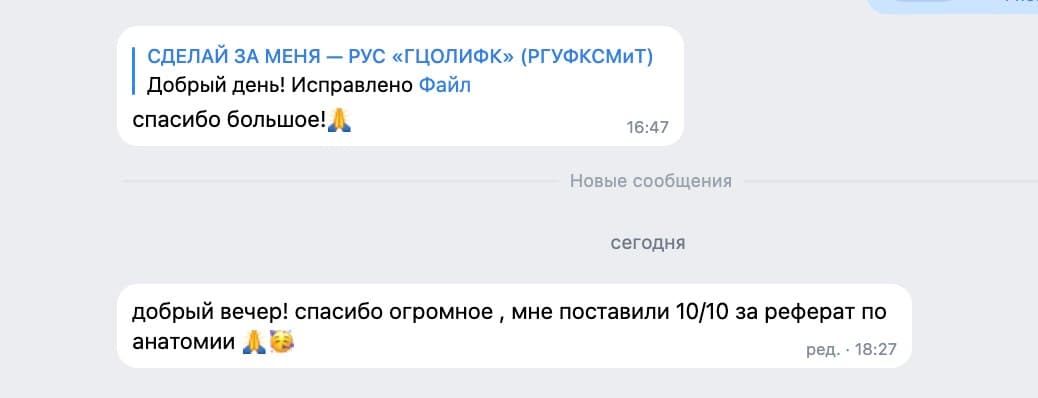 Отзыв: 10 из 10 за реферат по анатомии